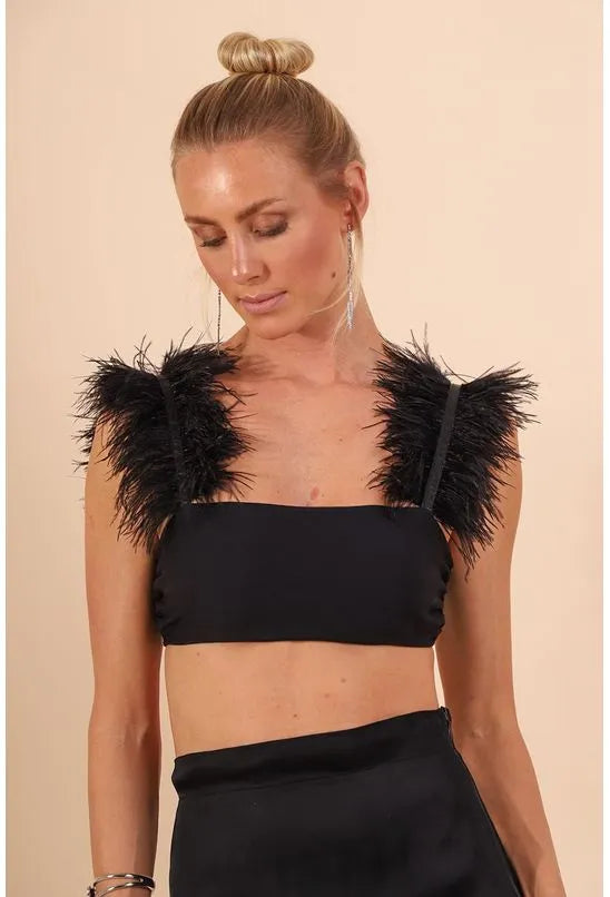 TOP COM PLUMAS COLCCI