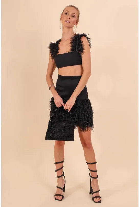 TOP COM PLUMAS COLCCI